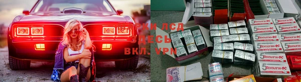 ПСИЛОЦИБИНОВЫЕ ГРИБЫ Богородск