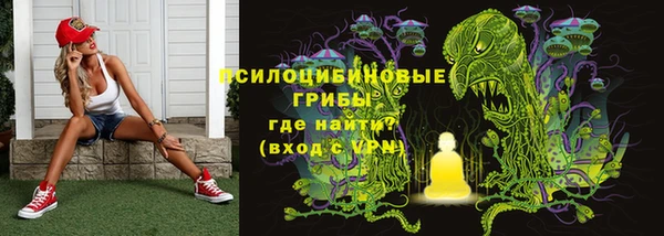 бутират Богданович