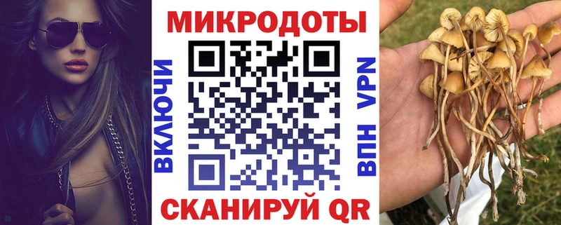 блэк спрут маркетплейс  Нефтеюганск  Псилоцибиновые грибы MAGIC MUSHROOMS  магазин   